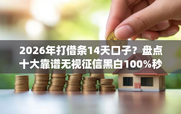 2026年打借条14天口子？盘点十大靠谱无视征信黑白100%秒下app