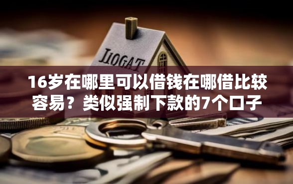16岁在哪里可以借钱在哪借比较容易？类似强制下款的7个口子参考