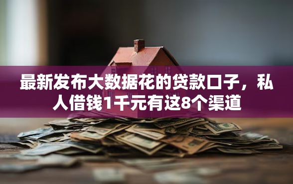 最新发布大数据花的贷款口子，私人借钱1千元有这8个渠道