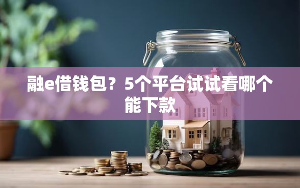 融e借钱包？5个平台试试看哪个能下款