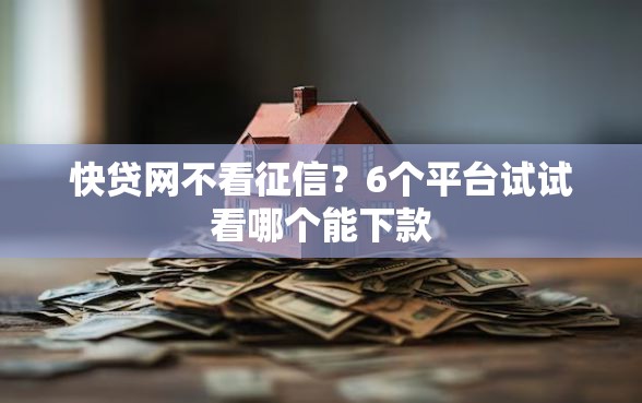 快贷网不看征信？6个平台试试看哪个能下款