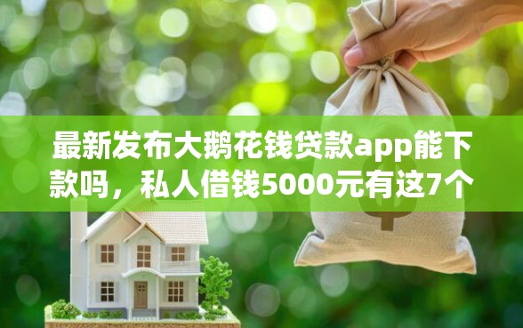 最新发布大鹅花钱贷款app能下款吗，私人借钱5000元有这7个渠道