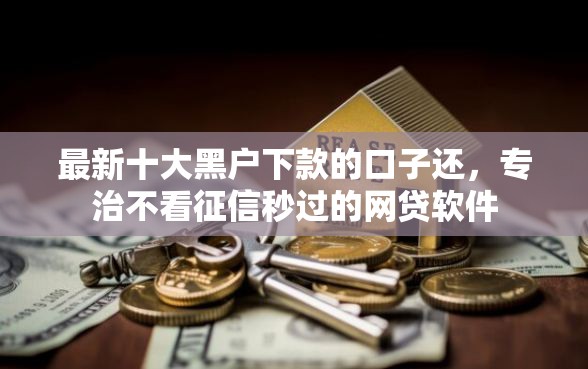 最新十大黑户下款的口子还，专治不看征信秒过的网贷软件