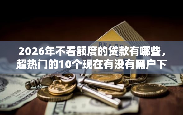 2026年不看额度的贷款有哪些，超热门的10个现在有没有黑户下款的口子推荐