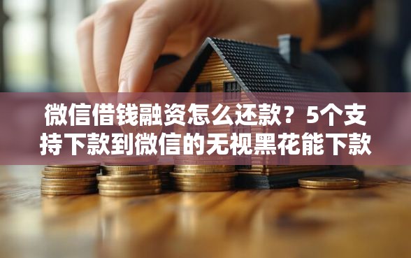 微信借钱融资怎么还款？5个支持下款到微信的无视黑花能下款一万元口子