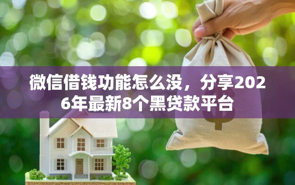 微信借钱功能怎么没，分享2026年最新8个黑贷款平台