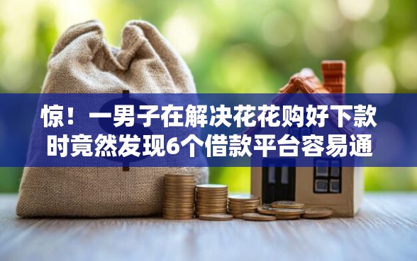 惊！一男子在解决花花购好下款时竟然发现6个借款平台容易通过，事后分享了出来