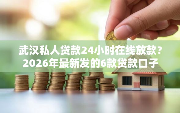 武汉私人贷款24小时在线放款？2026年最新发的6款贷款口子