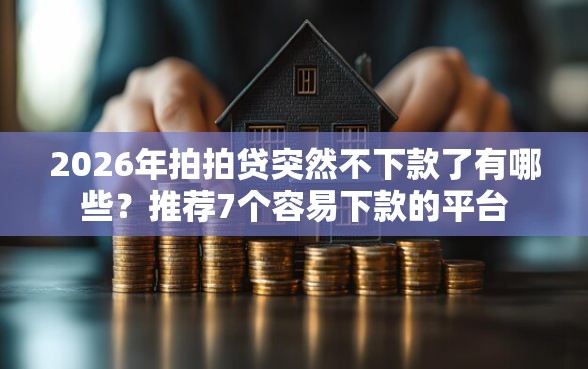 2026年拍拍贷突然不下款了有哪些？推荐7个容易下款的平台