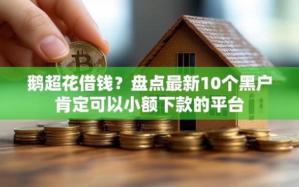 鹅超花借钱?盘点最新10个黑户肯定可以小额下款的平台 鹅超花借钱?盘点最新10个黑户肯定可以小额下款的平台