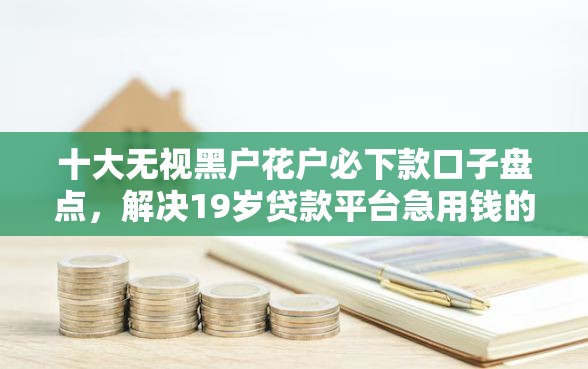 十大无视黑户花户必下款口子盘点，解决19岁贷款平台急用钱的问题