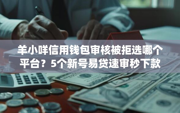 羊小咩信用钱包审核被拒选哪个平台？5个新号易贷速审秒下款app推荐