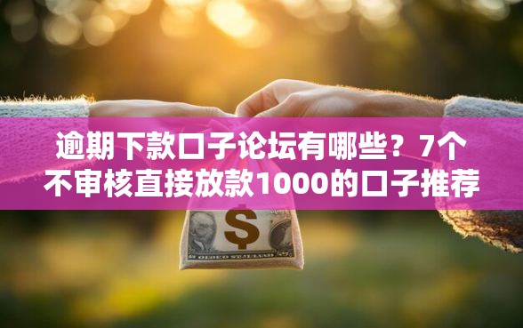 逾期下款口子论坛有哪些？7个不审核直接放款1000的口子推荐给你