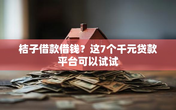 桔子借款借钱？这7个千元贷款平台可以试试