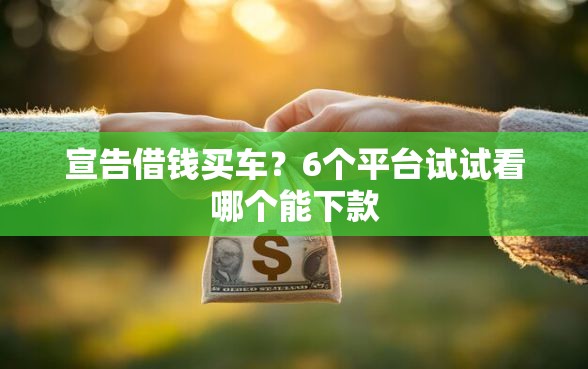 宣告借钱买车？6个平台试试看哪个能下款