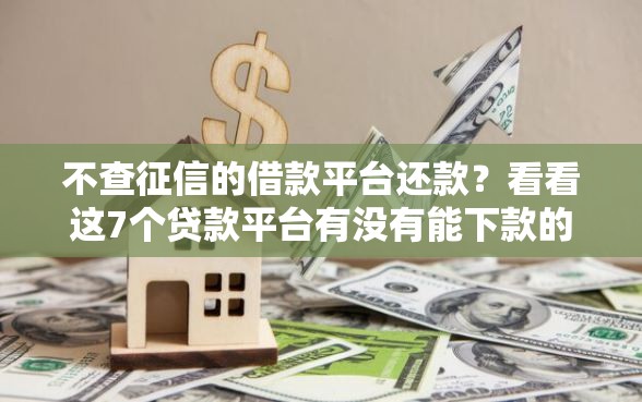 不查征信的借款平台还款？看看这7个贷款平台有没有能下款的