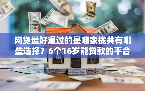 网贷最好通过的是哪家拢共有哪些选择？6个16岁能贷款的平台详解