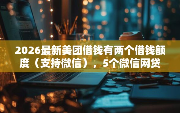 2026最新美团借钱有两个借钱额度(支持微信),5个微信网贷平台好无私分享 2026最新美团借钱有两个借钱额度(支持微信),5个微信网贷平台好无私分享