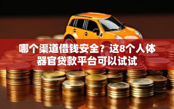 哪个渠道借钱安全？这8个人体器官贷款平台可以试试