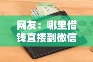 网友：哪里借钱直接到微信钱包？求介绍几款征信太花了也能借钱的平台