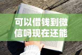 可以借钱到微信吗现在还能借吗有哪些？分享10个黑户可快速办理小额贷款业务的软件