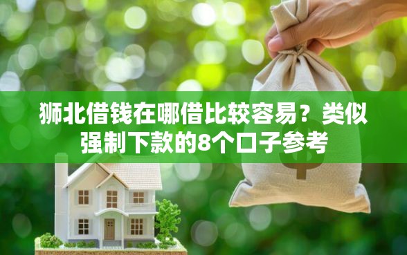 狮北借钱在哪借比较容易？类似强制下款的8个口子参考