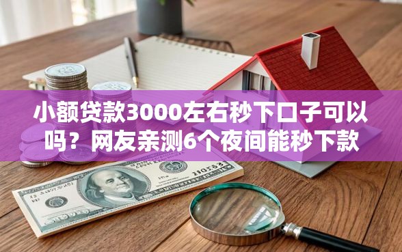 小额贷款3000左右秒下口子可以吗?网友亲测6个夜间能秒下款的高炮口子盘点 小额贷款3000左右秒下口子可以吗?网友亲测6个夜间能秒下款的高炮口子盘点