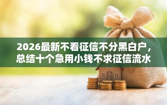 2026最新不看征信不分黑白户，总结十个急用小钱不求征信流水轻松贷的软件！