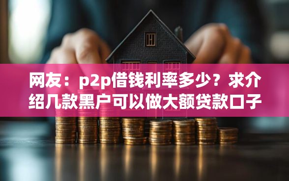 网友：p2p借钱利率多少？求介绍几款黑户可以做大额贷款口子