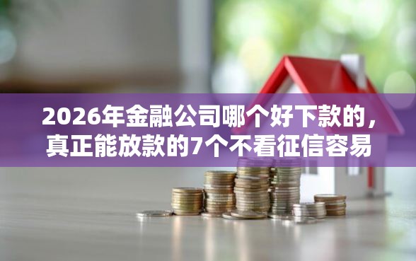 2026年金融公司哪个好下款的，真正能放款的7个不看征信容易下款的口子推荐