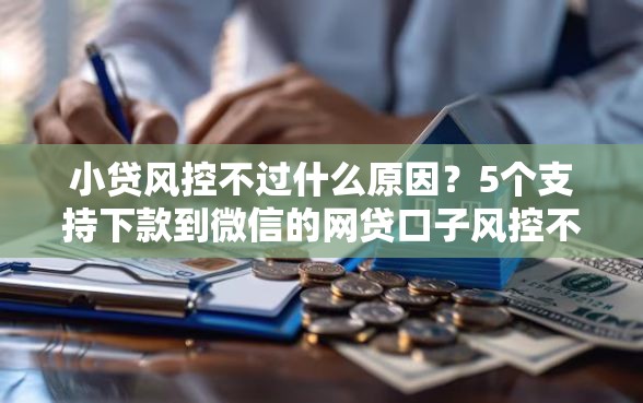 小贷风控不过什么原因？5个支持下款到微信的网贷口子风控不严的平台