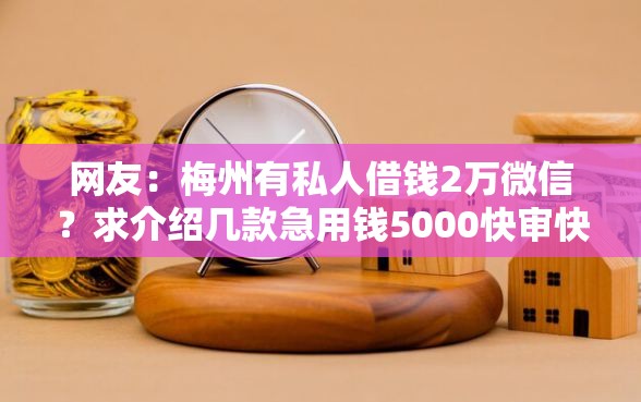 网友：梅州有私人借钱2万微信？求介绍几款急用钱5000快审快贷无需征信软件