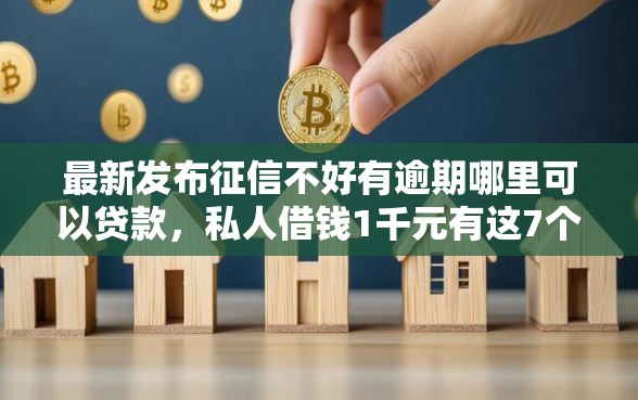 最新发布征信不好有逾期哪里可以贷款，私人借钱1千元有这7个渠道