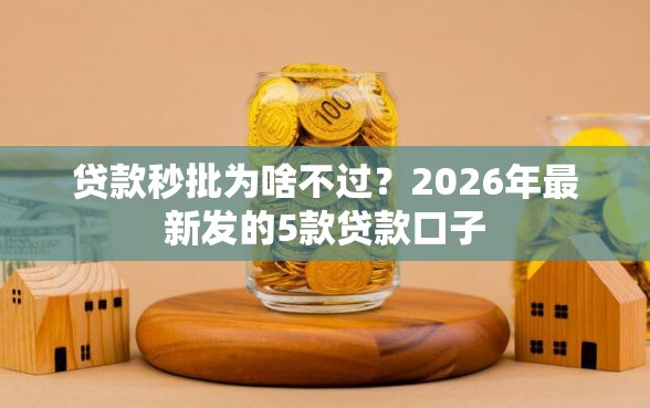 贷款秒批为啥不过？2026年最新发的5款贷款口子