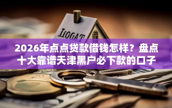 2026年点点贷款借钱怎样?盘点十大靠谱天津黑户必下款的口子 2026年点点贷款借钱怎样?盘点十大靠谱天津黑户必下款的口子