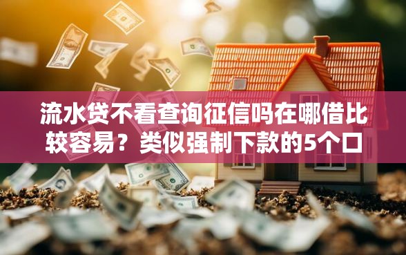 流水贷不看查询征信吗在哪借比较容易？类似强制下款的5个口子参考