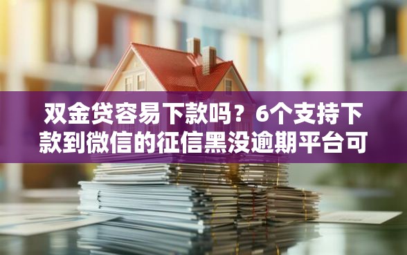 双金贷容易下款吗？6个支持下款到微信的征信黑没逾期平台可以贷到钱