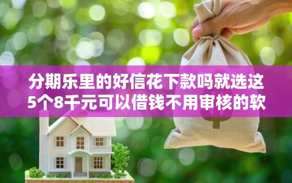分期乐里的好信花下款吗就选这5个8千元可以借钱不用审核的软件