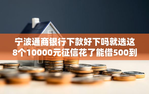 宁波通商银行下款好下吗就选这8个10000元征信花了能借500到1000的口子