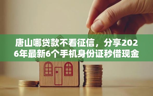 唐山哪贷款不看征信，分享2026年最新6个手机身份证秒借现金的口子