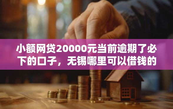 小额网贷20000元当前逾期了必下的口子，无锡哪里可以借钱的5个平台介绍