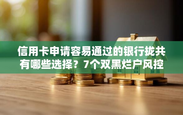 信用卡申请容易通过的银行拢共有哪些选择？7个双黑烂户风控能下款5000口子详解