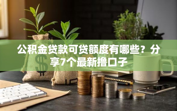 公积金贷款可贷额度有哪些？分享7个最新撸口子