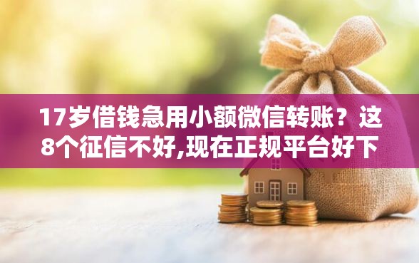 17岁借钱急用小额微信转账？这8个征信不好,现在正规平台好下款值得一试
