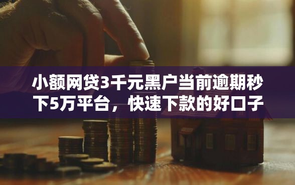 小额网贷3千元黑户当前逾期秒下5万平台，快速下款的好口子的5个平台介绍