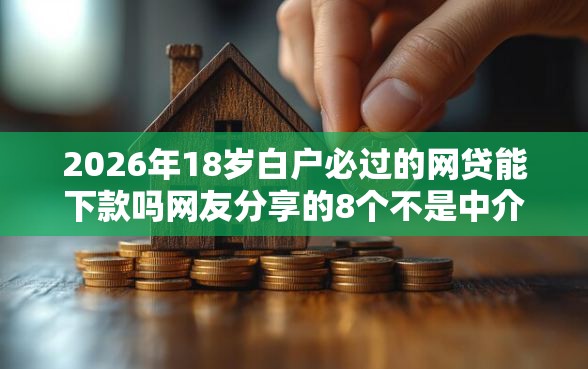 2026年18岁白户必过的网贷能下款吗网友分享的8个不是中介的贷款平台我觉得不错！