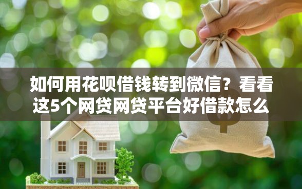 如何用花呗借钱转到微信？看看这5个网贷网贷平台好借款怎么样