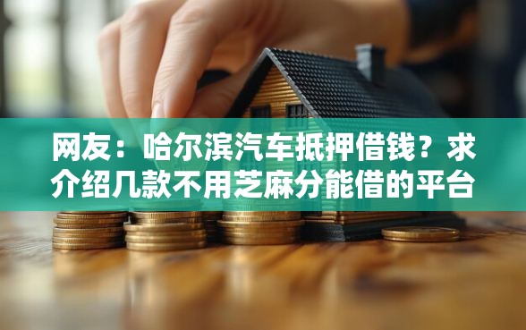 网友:哈尔滨汽车抵押借钱?求介绍几款不用芝麻分能借的平台 网友:哈尔滨汽车抵押借钱?求介绍几款不用芝麻分能借的平台