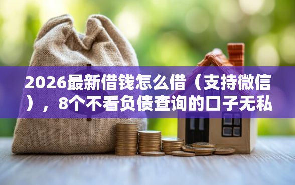 2026最新借钱怎么借（支持微信），8个不看负债查询的口子无私分享
