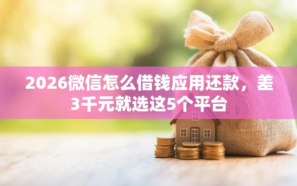 2026微信怎么借钱应用还款，差3千元就选这5个平台